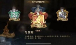 哈利波特最新卡牌爆料,卡牌新篇章，神秘力量即将揭晓！